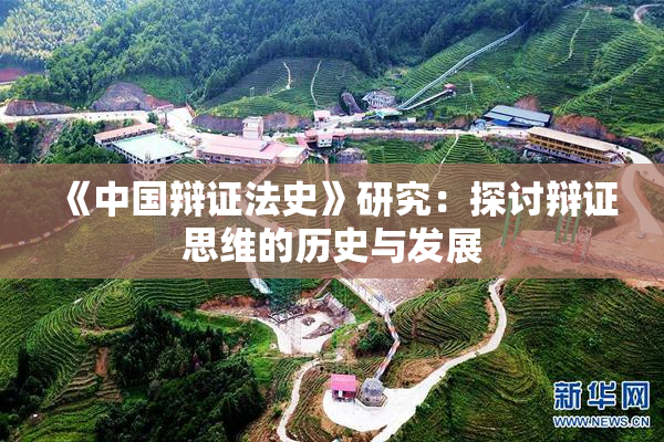 《中国辩证法史》研究：探讨辩证思维的历史与发展