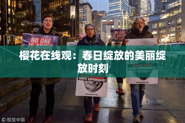 樱花在线观：春日绽放的美丽绽放时刻