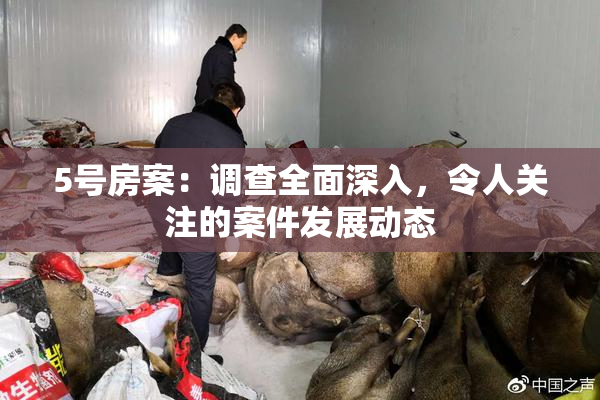 5号房案：调查全面深入，令人关注的案件发展动态