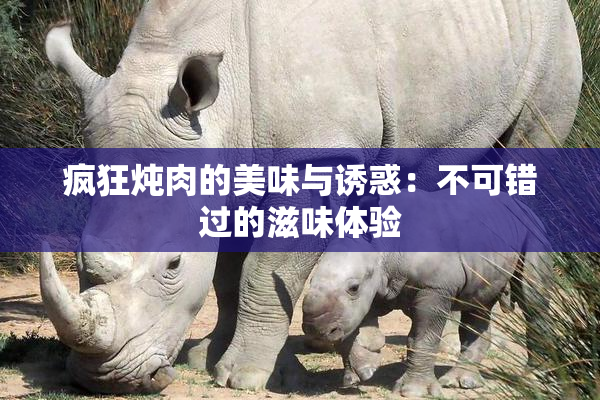 疯狂炖肉的美味与诱惑：不可错过的滋味体验