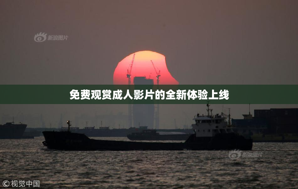 免费观赏成人影片的全新体验上线