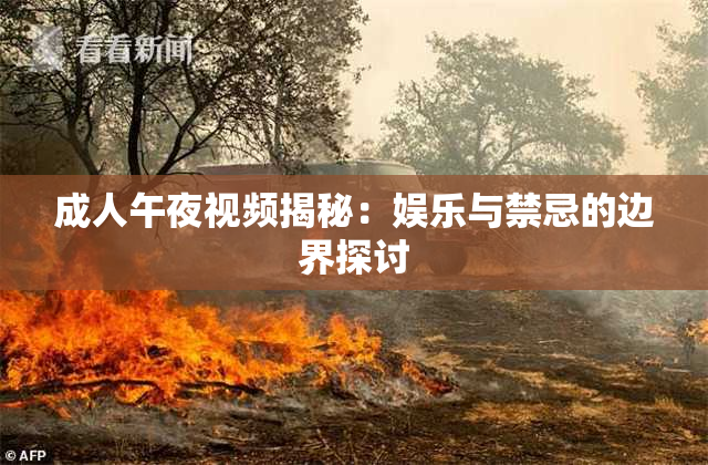 成人午夜视频揭秘：娱乐与禁忌的边界探讨