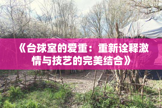 《台球室的爱重：重新诠释激情与技艺的完美结合》