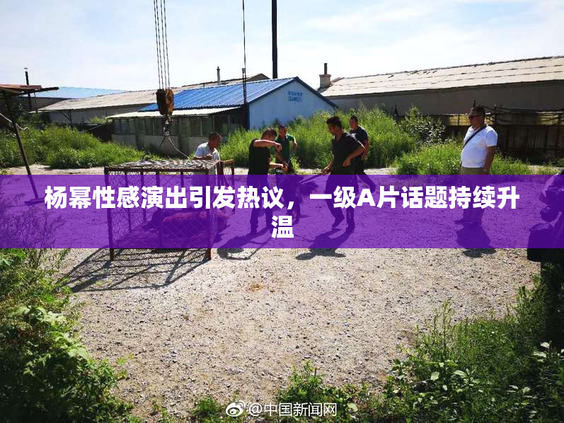 杨幂性感演出引发热议，一级A片话题持续升温