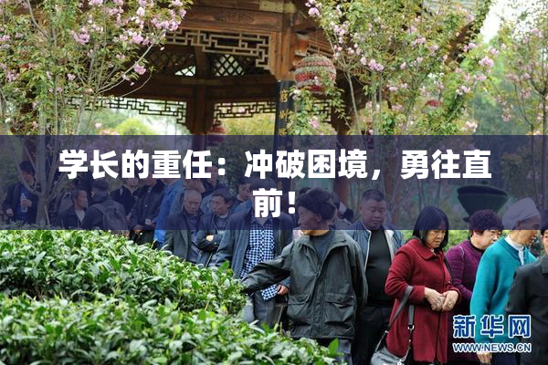 学长的重任：冲破困境，勇往直前！