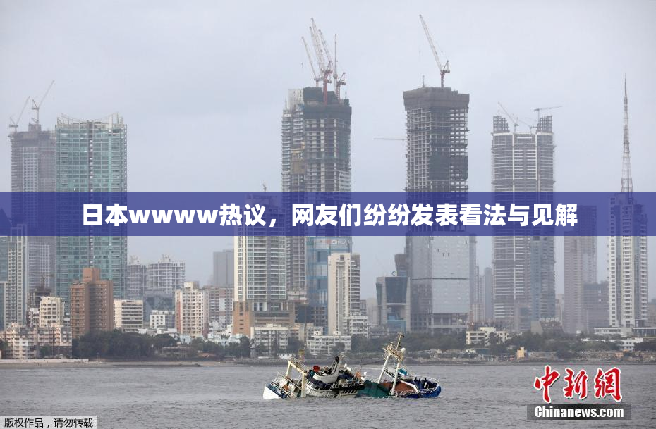 日本wwww热议，网友们纷纷发表看法与见解