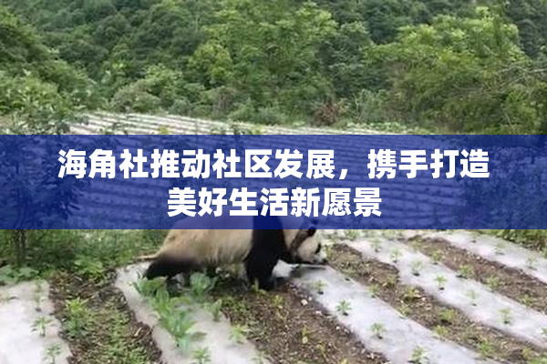 海角社推动社区发展，携手打造美好生活新愿景
