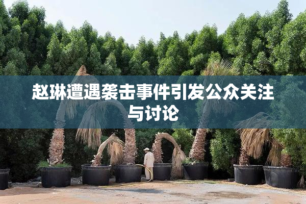 赵琳遭遇袭击事件引发公众关注与讨论