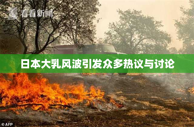 日本大乳风波引发众多热议与讨论
