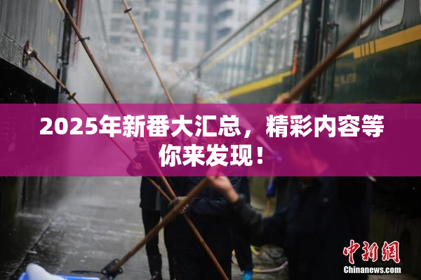 2025年新番大汇总，精彩内容等你来发现！