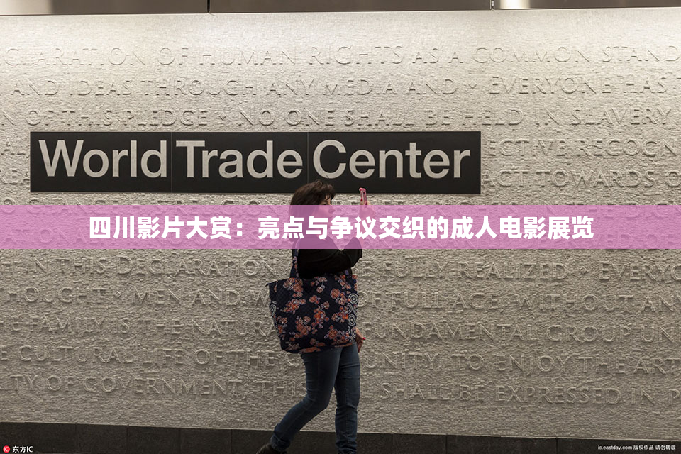 四川影片大赏：亮点与争议交织的成人电影展览