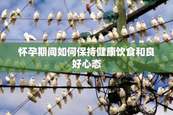 怀孕期间如何保持健康饮食和良好心态