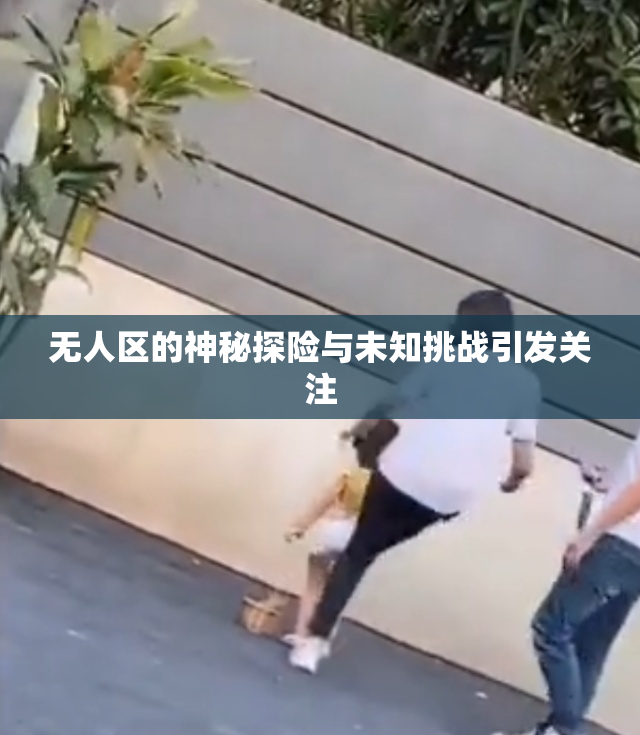 无人区的神秘探险与未知挑战引发关注