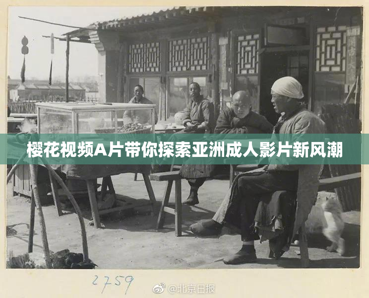 樱花视频A片带你探索亚洲成人影片新风潮