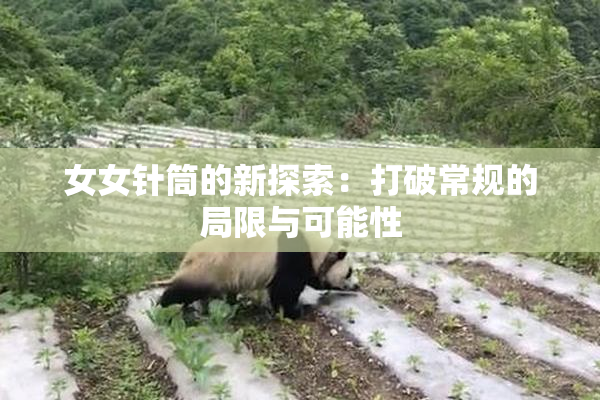女女针筒的新探索：打破常规的局限与可能性