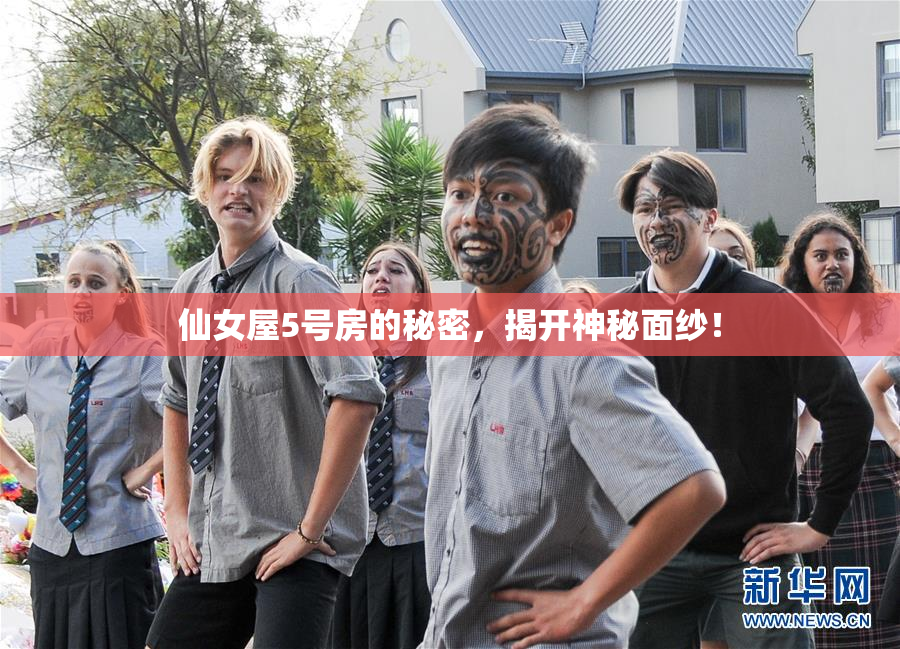 仙女屋5号房的秘密，揭开神秘面纱！