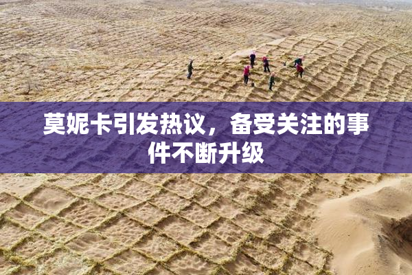 莫妮卡引发热议，备受关注的事件不断升级