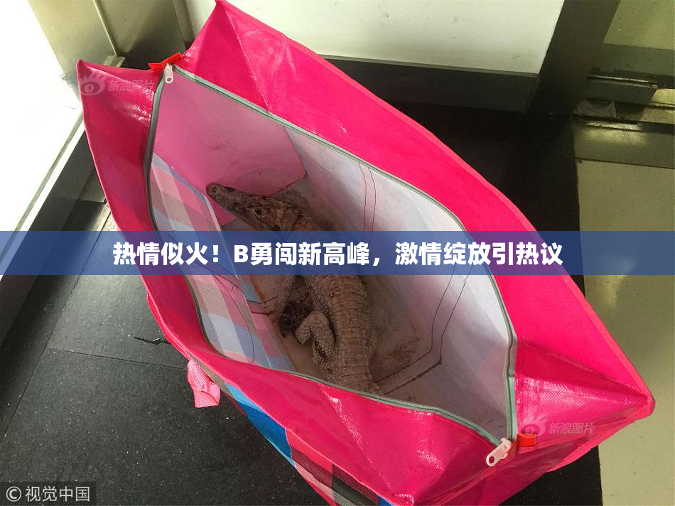 热情似火！B勇闯新高峰，激情绽放引热议