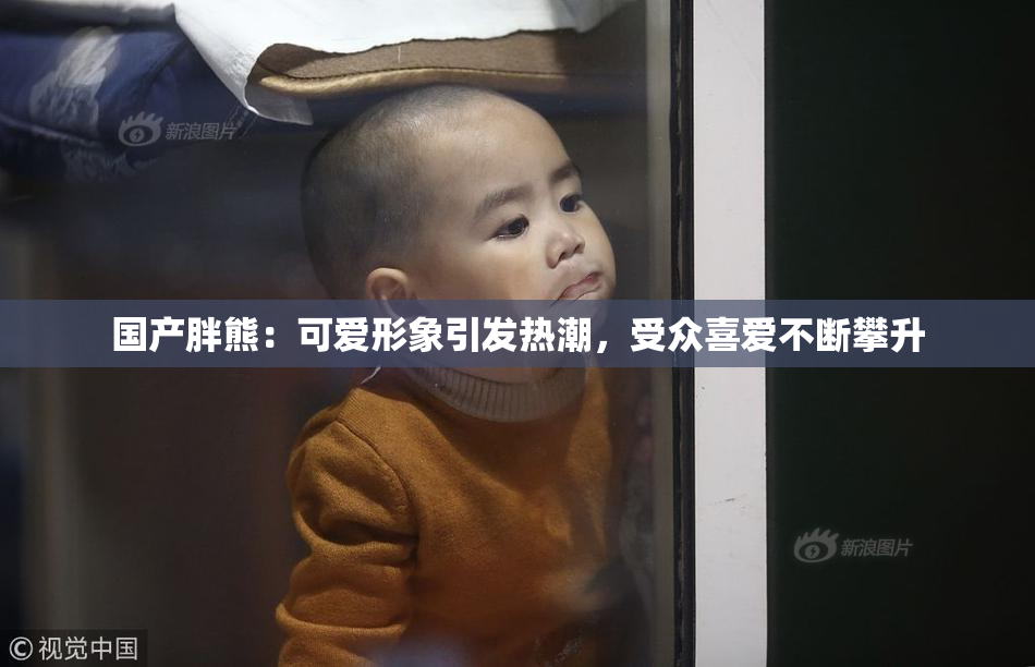 国产胖熊：可爱形象引发热潮，受众喜爱不断攀升