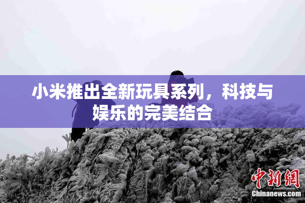 小米推出全新玩具系列，科技与娱乐的完美结合