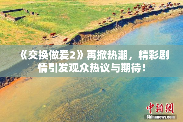 《交换做爰2》再掀热潮，精彩剧情引发观众热议与期待！