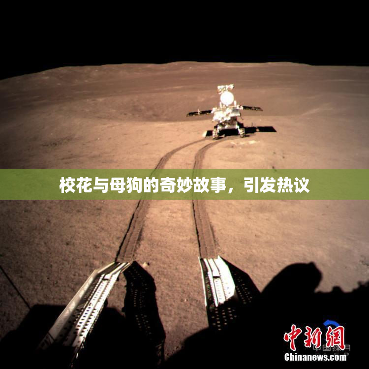 校花与母狗的奇妙故事，引发热议
