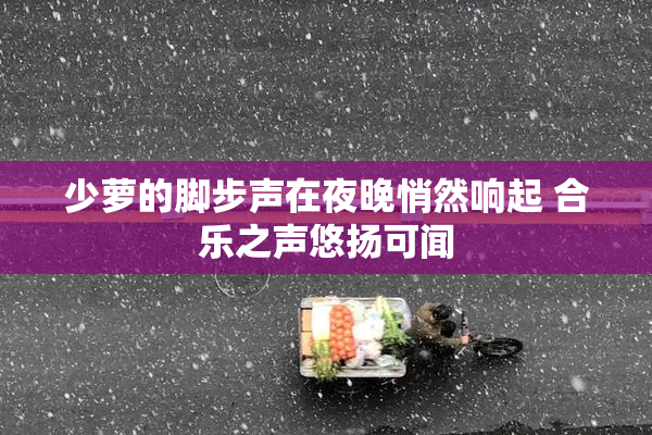 少萝的脚步声在夜晚悄然响起 合乐之声悠扬可闻