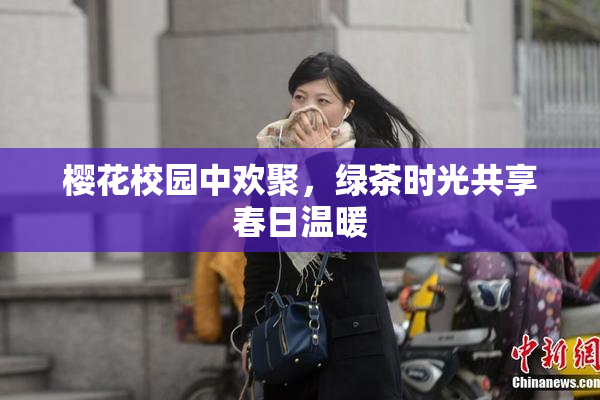 樱花校园中欢聚，绿茶时光共享春日温暖