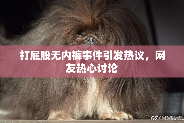 打屁股无内裤事件引发热议，网友热心讨论