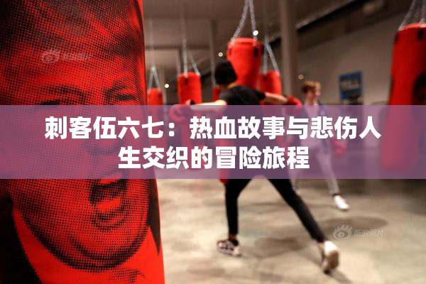 刺客伍六七：热血故事与悲伤人生交织的冒险旅程