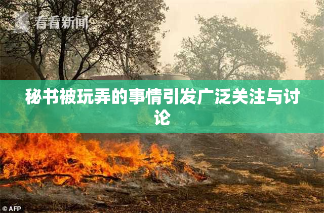 秘书被玩弄的事情引发广泛关注与讨论