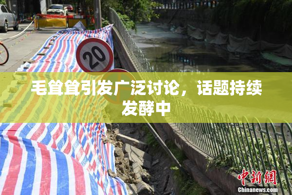 毛耸耸引发广泛讨论，话题持续发酵中