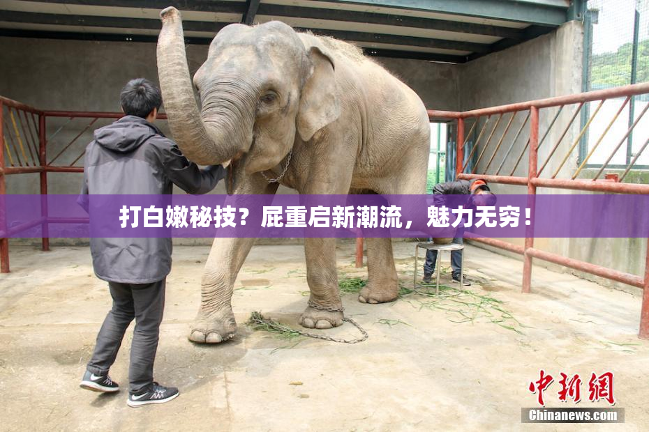 打白嫩秘技？屁重启新潮流，魅力无穷！