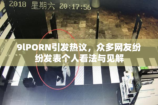 9lPORN引发热议，众多网友纷纷发表个人看法与见解
