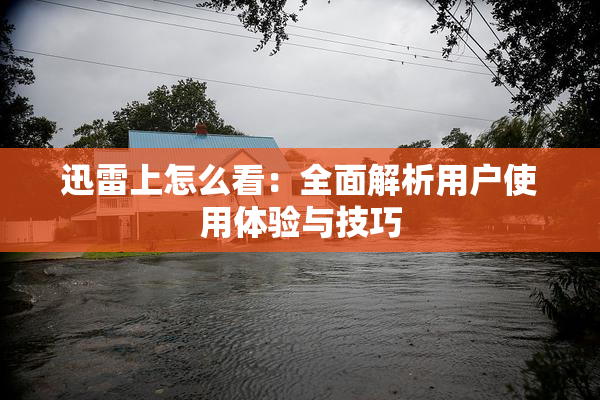 迅雷上怎么看：全面解析用户使用体验与技巧