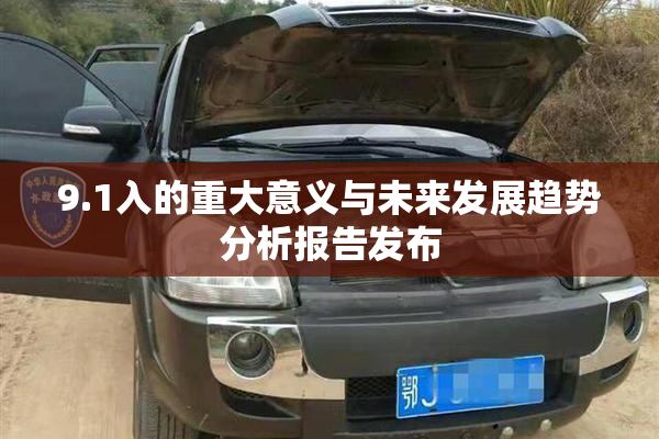 9.1入的重大意义与未来发展趋势分析报告发布