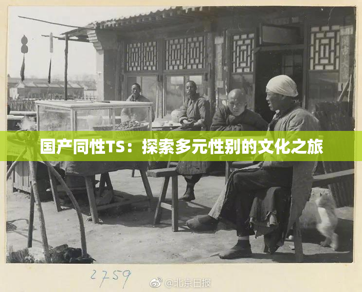 国产同性TS：探索多元性别的文化之旅
