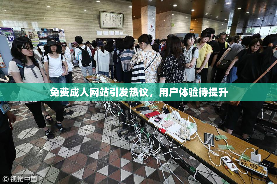 免费成人网站引发热议，用户体验待提升