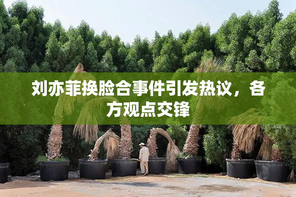刘亦菲换脸合事件引发热议，各方观点交锋