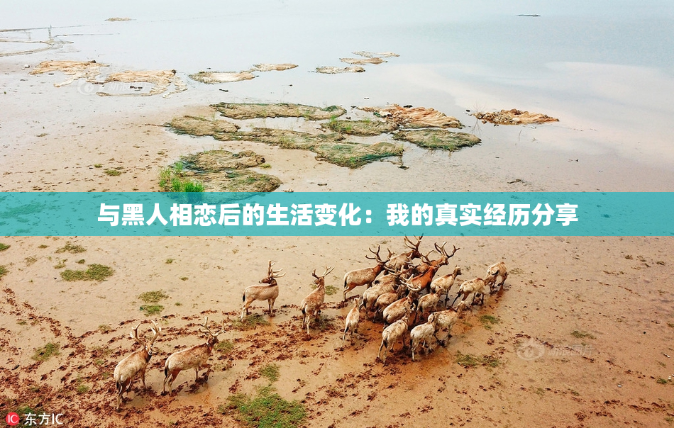 与黑人相恋后的生活变化：我的真实经历分享