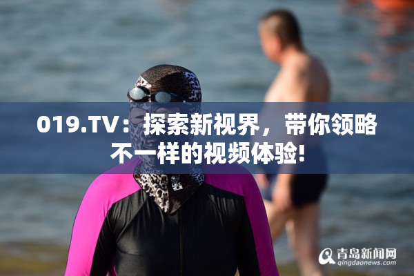 019.TV：探索新视界，带你领略不一样的视频体验!