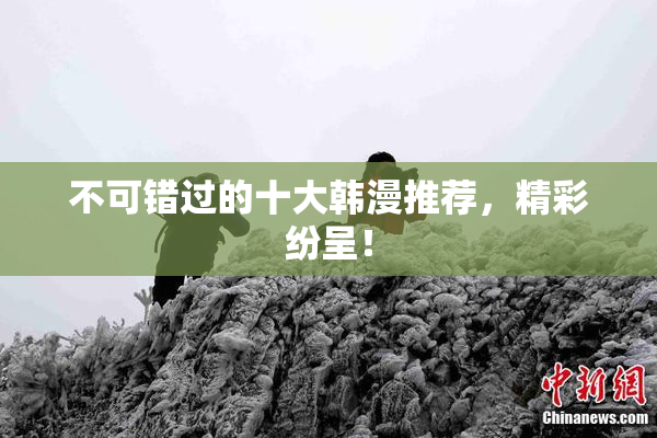 不可错过的十大韩漫推荐，精彩纷呈！
