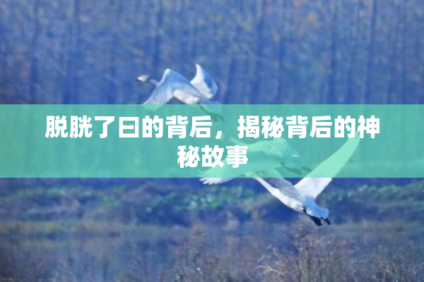 脱胱了曰的背后，揭秘背后的神秘故事