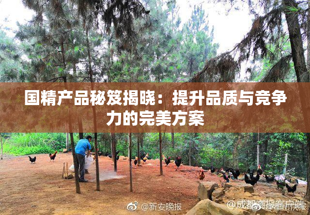 国精产品秘笈揭晓：提升品质与竞争力的完美方案