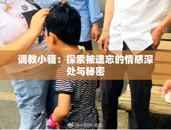 调教小骚：探索被遗忘的情感深处与秘密