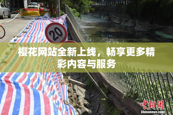 樱花网站全新上线，畅享更多精彩内容与服务