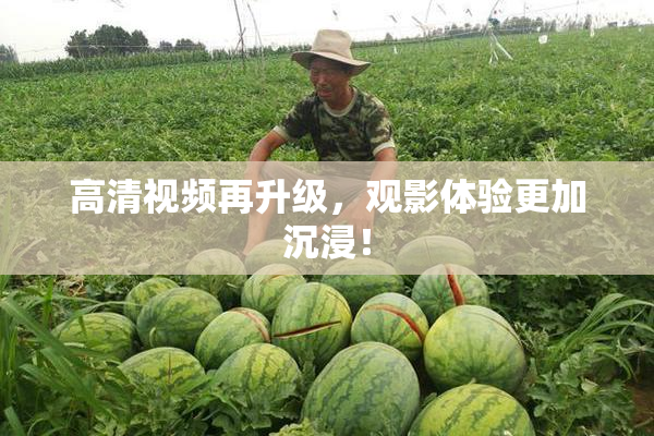 高清视频再升级，观影体验更加沉浸！