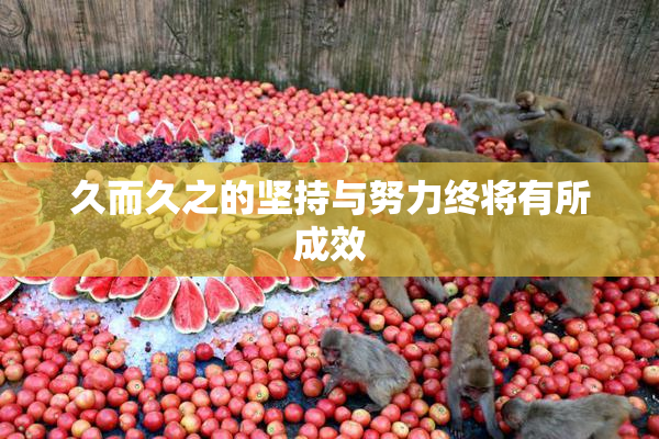 久而久之的坚持与努力终将有所成效