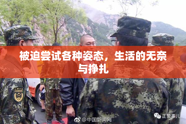 被迫尝试各种姿态，生活的无奈与挣扎