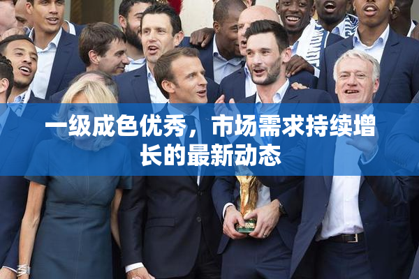 一级成色优秀，市场需求持续增长的最新动态
